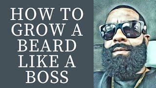 How to grow your beard like a boss. #beardtips #bigbeards #beard journey