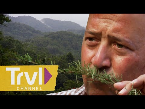 Fresh Food in a Forest Clearing | Bizarre Foods with Andrew Zimmern | Travel Channel
