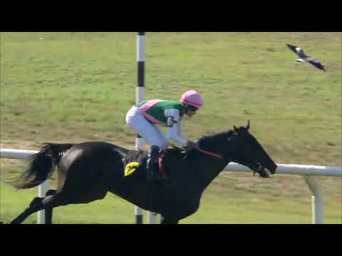 230312 c03 FAST TRICK (BRZ)