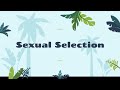Evolutionary Biology Sexual Selection Illustrations