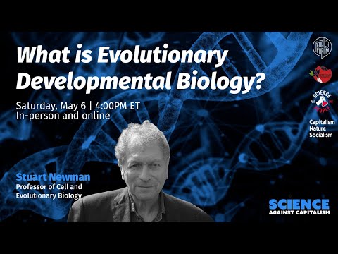 WHAT IS EVOLUTIONARY DEVELOPMENTAL BIOLOGY