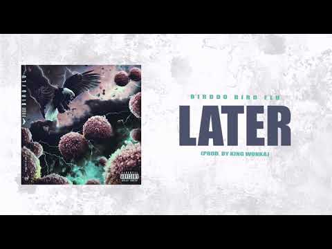 Birddo - Later