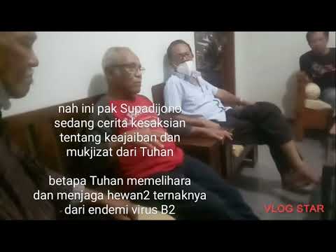 Komisi Lansia Punya Cerita. Terinspirasi Kisah Kesaksian Di Kandang Ternak Pak Supadijono