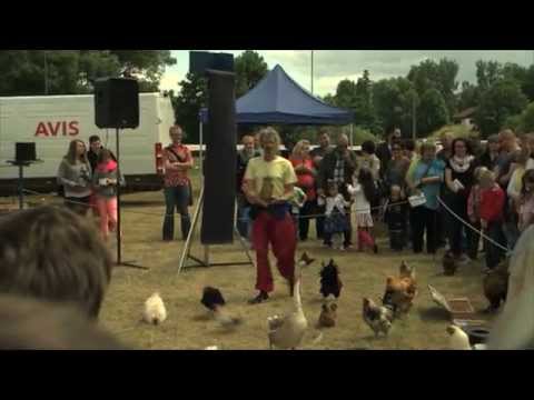 Sommerfest Bad Hersfeld