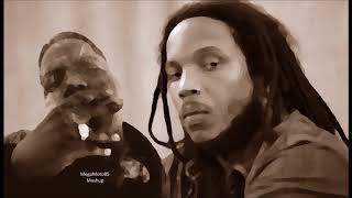 Stephen Marley - Hey Baby vs 2pac &amp; Biggie - Runnin (MegaMoto85 Mashup)