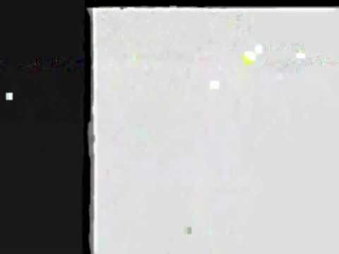 The Noze - Walking the streets filled with flowers