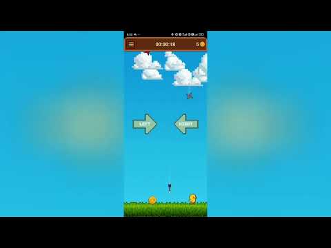 Duck Survival
