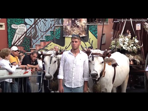 Festa di Sant'Antonio di Padova, Benedizione dei carri - Santa Croce di Magliano, 12 giugno 2025