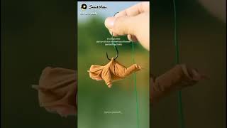 Download lagu status wa keren terbaru,   #JanganLupaSubrekSebelumDownload mp3