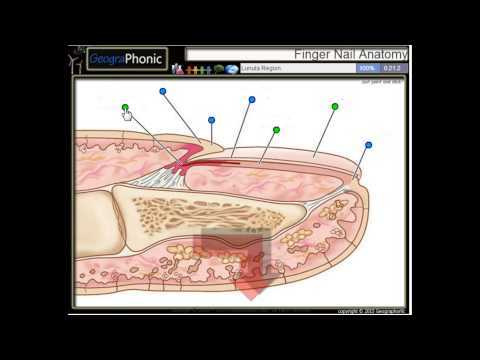 Cura di alcolismo di artisti Mai smetterò di bere piedi di S. l uno