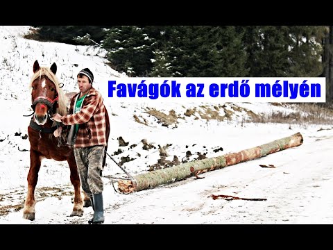 Favágókkal találkoztunk Hargitában, a Csíki-havasok mélyén. Loggers working in winter, Transylvania