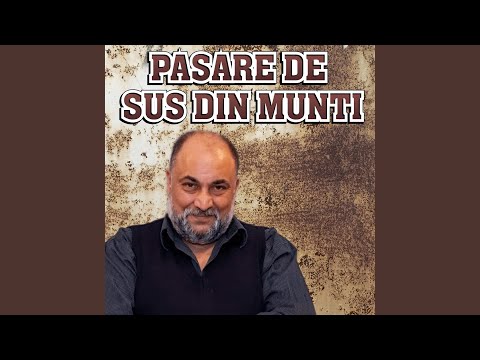 CE MAIMUTA FIGURANTA