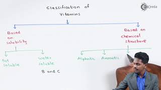 Vitamins and Classification - Biomolecules - Chemistry Class 12