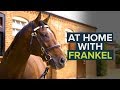 FRANKEL: GREATEST RACEHORSE OF ALL TIME DOES CHARITY WORK