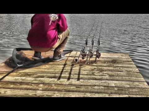 Saison 2016 Crazy Carp Team Austria