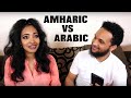 Amharic VS Arabic Guess the Word Challenge ! ተመሳሳይ የአረቢኛ እና አማርኛ ቋንቋ  ቃላቶች