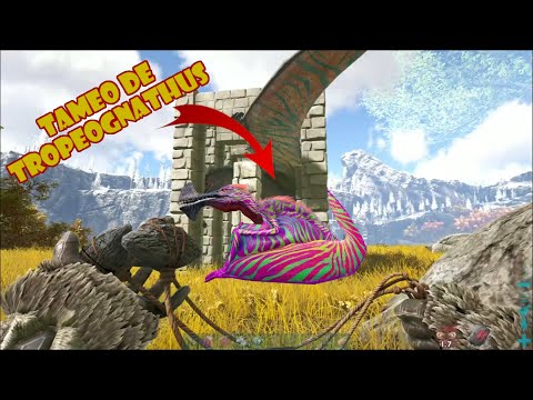 Como Tamear al Tropeognathus Facil (Dino con turbina) ARK Survival Evolved