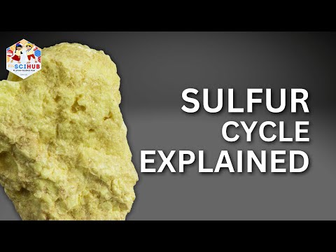 Den Schwefelkreislauf verstehen: Ein umfassender Leitfaden für Naturwissenschaftsstudenten