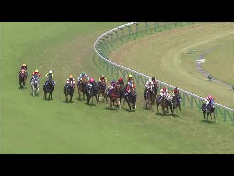 2018 Yasuda Kinen (G1)