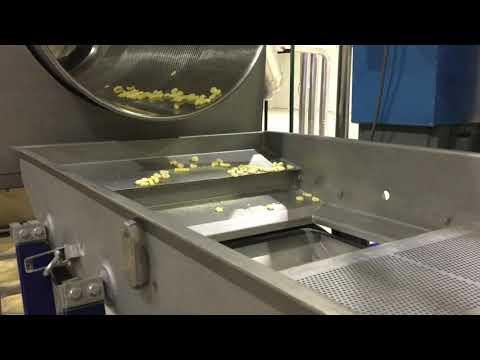 Food Processing Machine