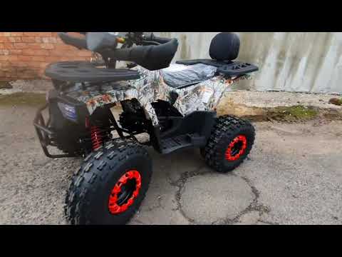 фото квадроцикл wels thunder 125 e2x 0