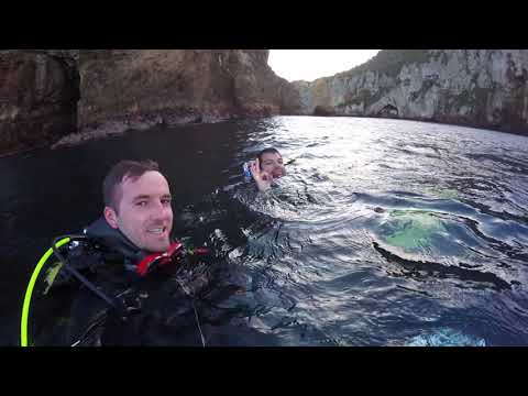 Scuba Diving the Poor Knights 2019