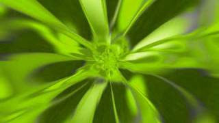 Rusty Adams-Hippy From Mississippi