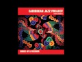 Caribbean Jazz Project - Against The Law