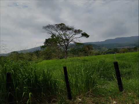 SALÍ DE PUERTO MIRANDA - Hildebrando Rodríguez
