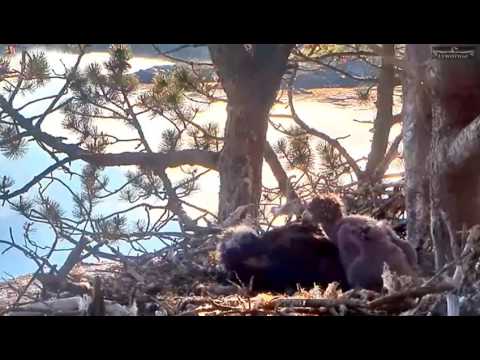 Norway WTE 6 14 16  "Flip Side 1"