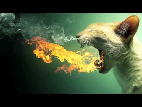 Popof & Animal & Me - Going Back --- Luca Donzelli & Mar T Remix --- HQ