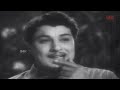 Maanallavo Kangal மானல்லவோ கண்கள் தந்தது T M Soundararajan P