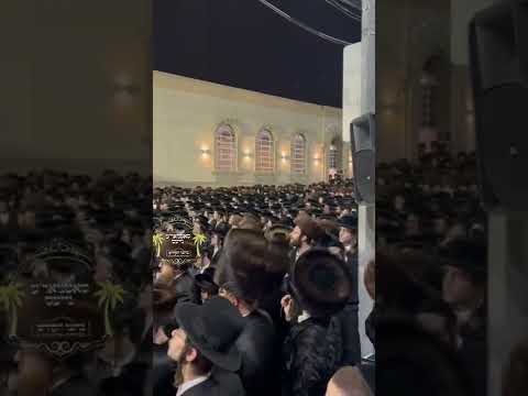 חופה פון נכד כ"ק אדמו"ר מסאטמאר שליט"א