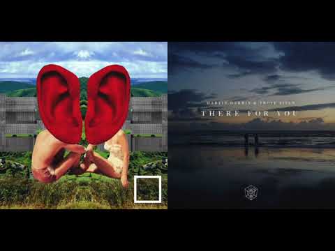 There For You vs. Symphony (Mashup) - Martin Garrix, Troye Sivan, Zara Larsson, and Clean Bandit