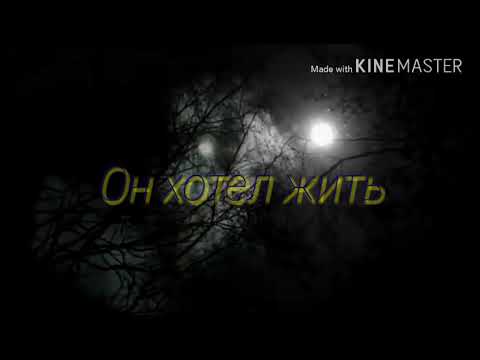 Он хотел жить.Андрей Кобцев.