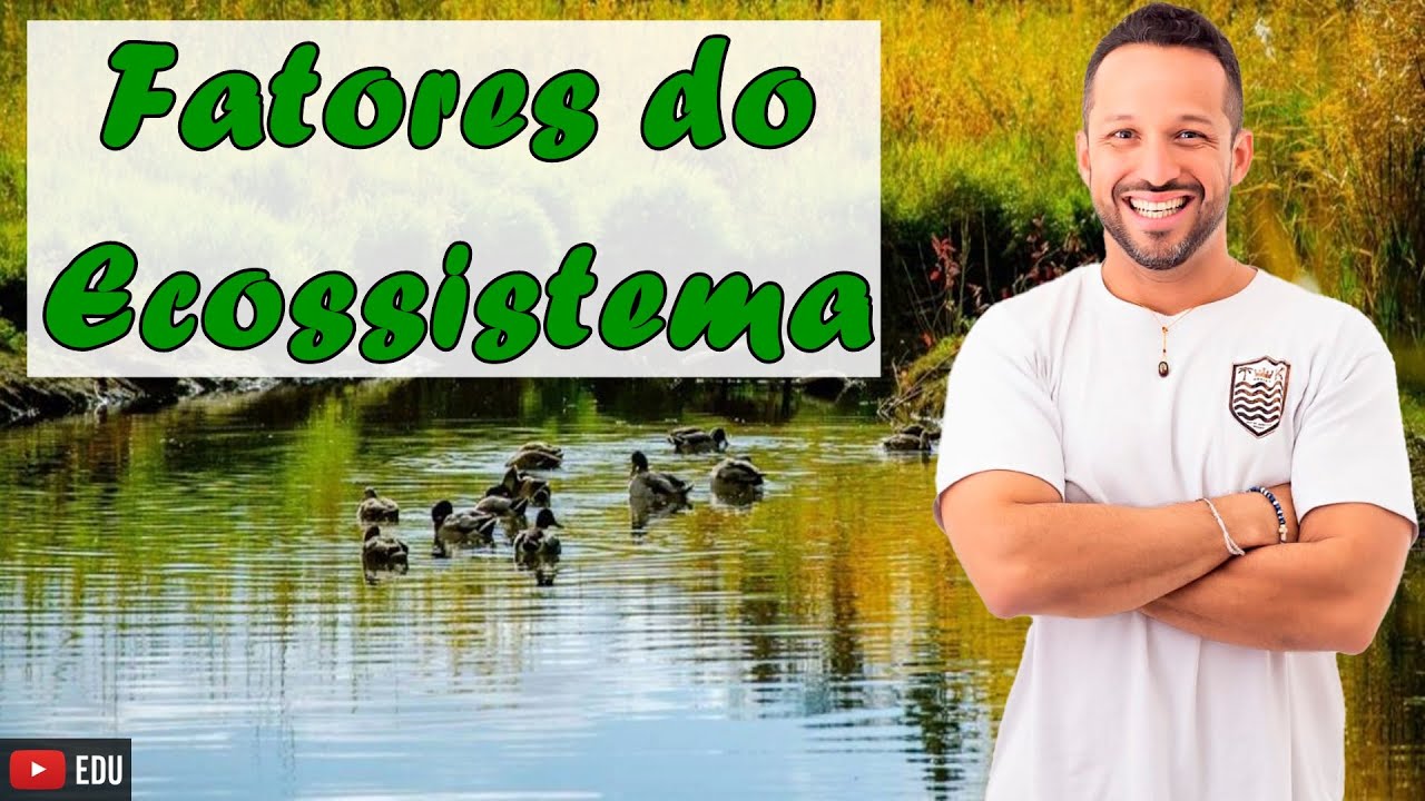 Fatores do Ecossistema - Abióticos e Bióticos - Conceito, Tipos e Exemplos - Ecologia