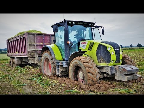 Extremalne koszenie kukurydzy 2017-Mega Wtopy ||3xClaas , 2x CaseIH ,Deutz-Fahr||
