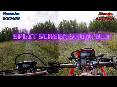 WR250R vs CRF300L - Ultimate Dual Sport Woods Showdown