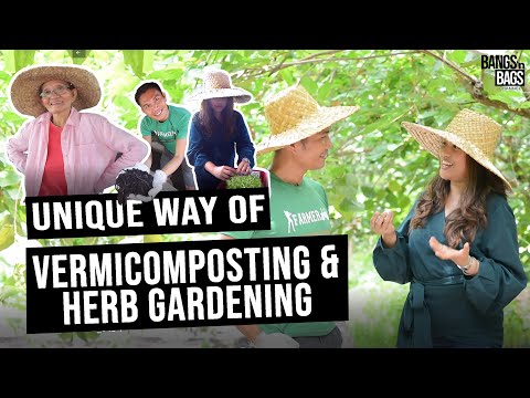 Unique way of Vermicomposting and Herb Gardening ft. Nanay Deting  Franco/ Bangs 'n Bags Channel