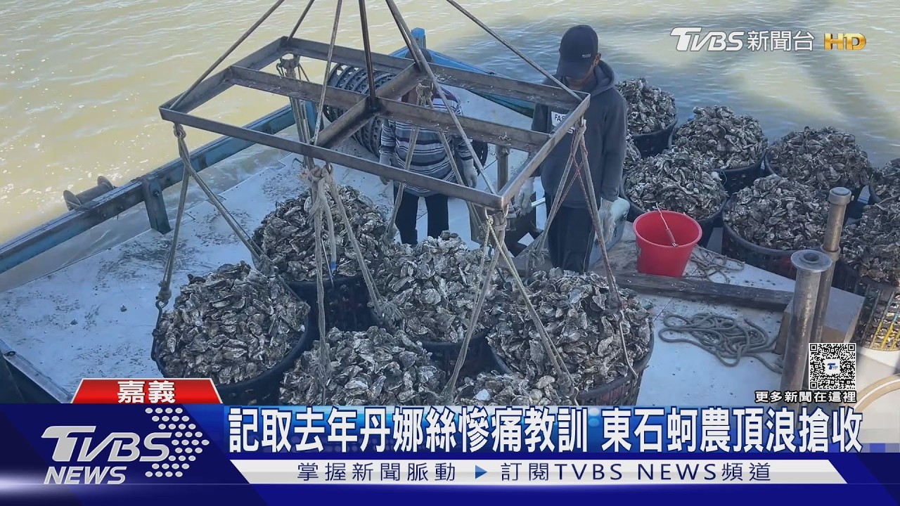 影音/巴威來! 中南部總動員 衝浪客逐浪、稻穀蚵仔搶收
