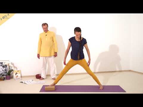 Drehdreieck mit Block - Yoga Asana Lexikon