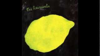 The Raincoats - Shouting Out Loud (1994)