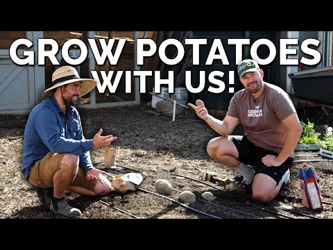 , title : 'Plant Potatoes With Us: The Most Delicious Fall Crop!'