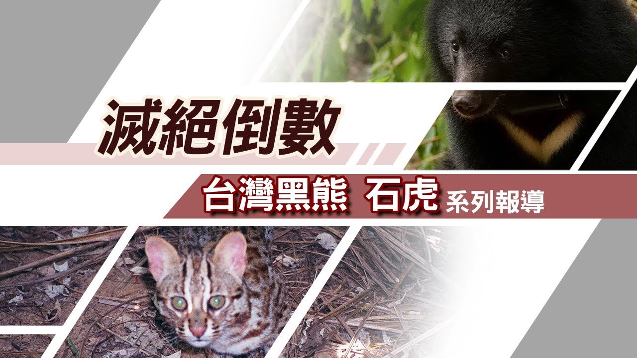 滅絕倒數系列報導