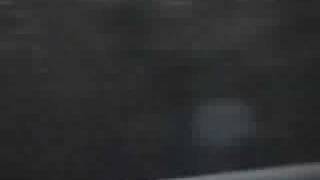 Creepy Crawl - Pretty Tendrils