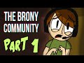 The Brony Community (Part 1) | BrainstormAlex ...