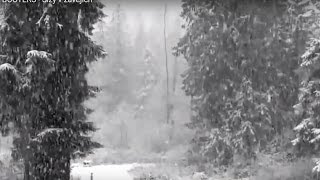 Slzy v závějích - BOOTERS 2013