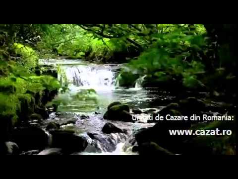 Cazare Zegujani, Mehedinti - Cazat.ro