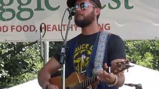 The Giving Tree Band - Forgiveness And Permission - Veggie Fest Naperville - LIVE