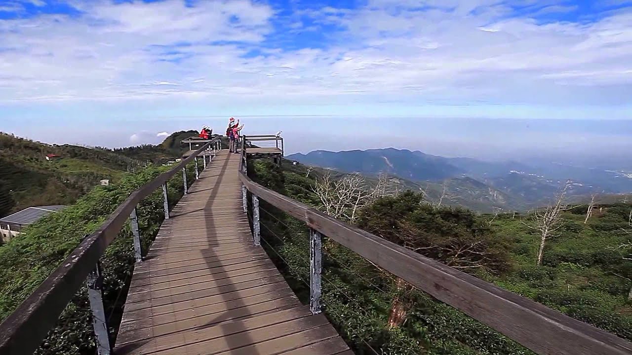 大崙山景觀茶園觀景台步道